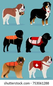 Set of dogs rescuers vector illustration