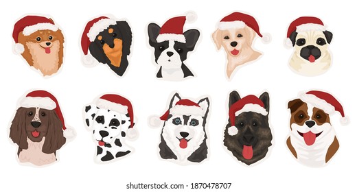 Set of dogs in Santa Claus hats. Collection of funny dogs of different breeds. Cute doodle corgi in New Year and Christmas image. Vector illustration