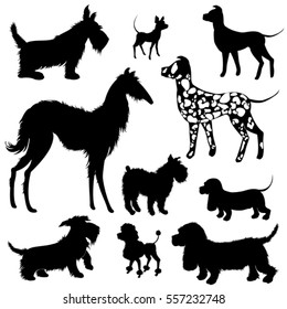 Set of of dogs silhouettes - scottish terrier, dalmatian, dachshund, poodle, chihuahua. Isolated on white background.