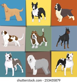 Set of dogs with square background. Vector eps10.