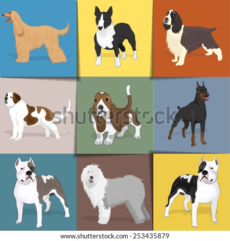 Set Dogs Square Background Vector Eps 10 Stock Vector (Royalty Free ...