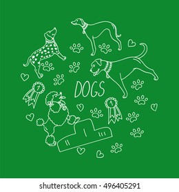 Set dogs vector - dalmatian, whippet, poodle, boxer