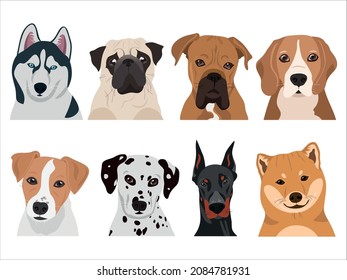 Set of dogs in vector (husky, pug, boxer, beagle, jack russell, dalmatian, doberman, husky)