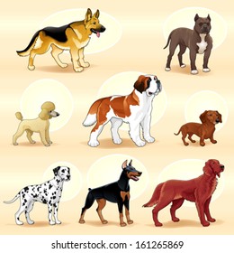 Set of dogs. Vector illustration