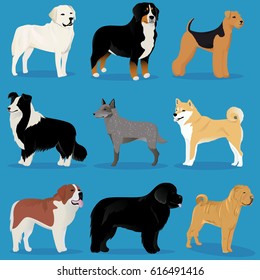 Set of dogs vector illustration