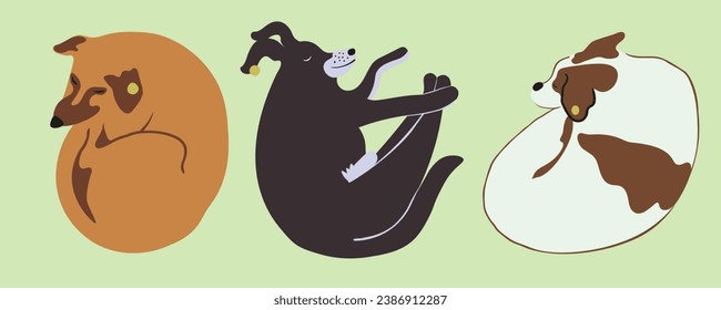 conjunto de perros en vector. Mascotas, animales lindos, protección animal.Plantilla para el afiche del logo de la etiqueta postal para el sitio web de la aplicación. Una serie de perros peludos de estilo plano