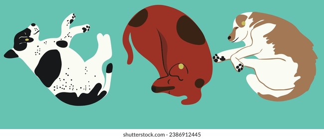 conjunto de perros en vector. Mascotas, animales lindos, protección animal.Plantilla para el afiche del logo de la etiqueta postal para el sitio web de la aplicación. Una serie de perros peludos de estilo plano