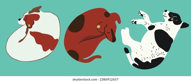 conjunto de perros en vector. Mascotas, animales lindos, protección animal.Plantilla para el afiche del logo de la etiqueta postal para el sitio web de la aplicación. Una serie de perros peludos de estilo plano