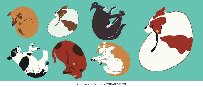 conjunto de perros en vector. Mascotas, animales lindos, protección animal.Plantilla para el afiche del logo de la etiqueta postal para el sitio web de la aplicación. Una serie de perros peludos de estilo plano