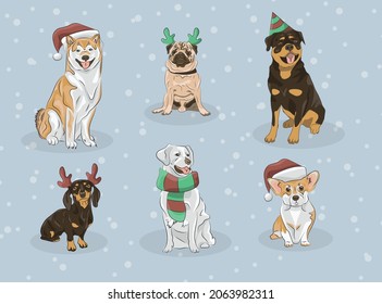 Set of dogs wearing different Christmas outfits: santa's hat, deer's antlers, scarf, cone.