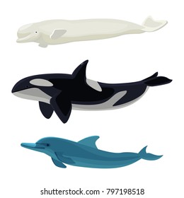 Set of dolphin, killer whales and orca aquatic marine mammals