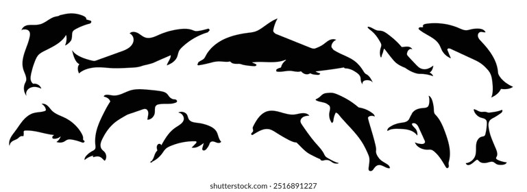 Set of Dolphin silhouette Vector illustration