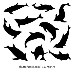 A set of dolphin silhouettes in various positions and from different angles