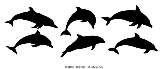  set of dolphin silhouettes - vector illustration