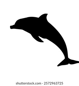  set of dolphin silhouettes - vector illustration