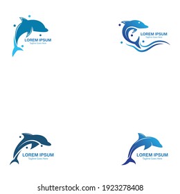 conjunto de logotipo de salto de peces Dolphin smart en el diseño de la plantilla de mar