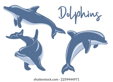 Set of Dolphins swimming and jumping. Marine dweller. Concept of sea and ocean life. Vector illustration