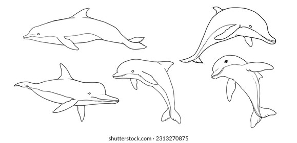 establecer delfines en varias ilustraciones vectoriales de poses