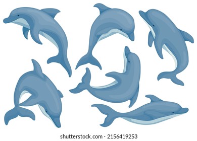 Set of dolphins. Vector graphics.