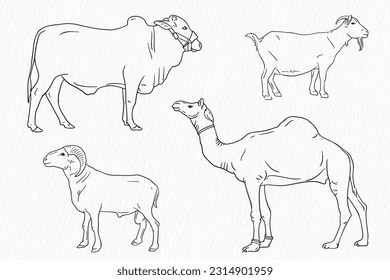 Set of Domestic animal line drawing. Cow goat sheep and camel for qurbani