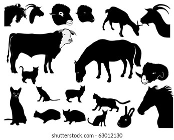 set of domestic animals