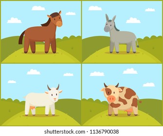 Set of domestic animals color vector illustration, pets on glade with round hills, horse with goat cow and donkey on sunny meadow, green rural nature