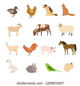 Set of domestic animals and farm animals. Vector collection of Cats, dogs, parrot, rabbit hamster and other pets.