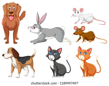 Set Domestic Animals Illustration Stock Vector (Royalty Free ...