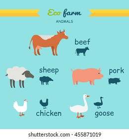 Set of domestic animals illustrations. Eco farm vector. Flat design