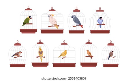 Set of domestic birds in cages. Exotic tropical birds with bright plumage sit on a wooden perch. Agapornis, Jaco Parrot, Corella, Canary, Cockatoo Cartoon style Vector illustration on white background