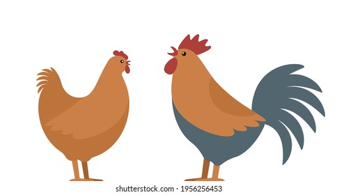 Set of domestic birds from the farm. Rooster and hen. template for the poultry farm. vector logo illustration isolated on white background