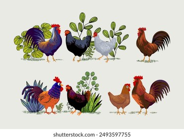 Conjunto de pollo doméstico, gallo, gallina, cría de aves de corral colección animal vintage dibujado a mano Ilustración vectorial. Pájaros animales de compañía.