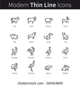 Set of domestic and farm animals & pets. Thin black line art icons. Linear style illustrations isolated on white.