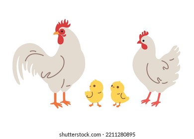 Set of domestic fowl - chick and roster. Vector contour illustration.