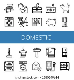 Set of domestic icons. Such as Iron, Washing machine, Horse, Ironing board, Sink, Laundry, Freezer, Pig, Dog, Cleaning brush, Mop, Extractor, Towel, Washbasin , domestic icons