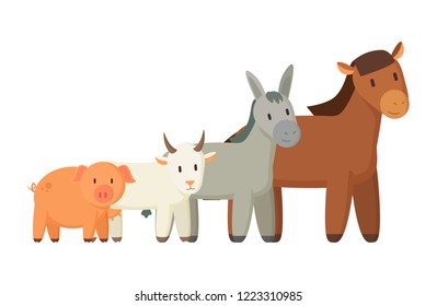 Set of domestic pets isolated on white backdrop, vector illustration of pig goat donkey and horse, artiodactyls animals collection colorful poster