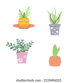 Set of domestic plants, different vases, pots with flowers