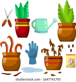 Set of domestic plants. Green and dry leaves. Equipment for care of flowers. Watering can, farm gloves, scissors, seeds, puddle of water. Brown pot. Cartoon flat illustration