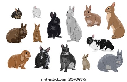 A set of domestic rabbits and little rabbits in different poses. Oryctolagus cuniculus domesticus in different colors. Realistic vector pet