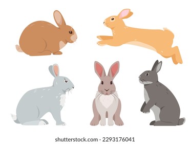 Conjunto de conejos domésticos y pequeños conejos en diferentes poses y colores. Animales de granja o íconos de mascotas aislados en fondo blanco. Ilustración vectorial.