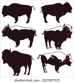 set of domestic yak buffallo silhouette isolated on white background