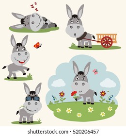 Set of donkey in different poses on summer meadow with flowers in cartoon style.