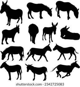 Set of donkey silhouettes. Animal silhouette
