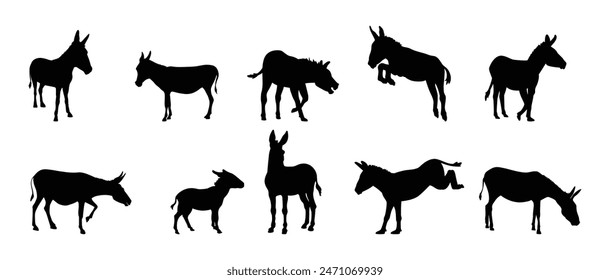 Set of donkey silhouettes. Vector illustration