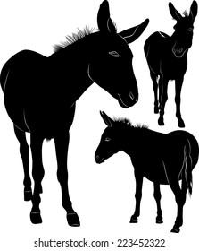 set of donkeys silhouettes isolated on white background