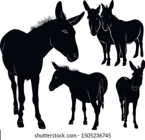 set of donkeys silhouettes vector isolated on white background