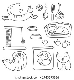 A set of doodle accessories for a cat, a pet in various poses and a variety of grooming items vector illustration