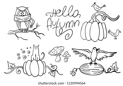 Set of doodle autumn animals and pumpkins isolated on white. Hello Autumn. Vector illustration. Perfect for coloring book, greeting card, print.