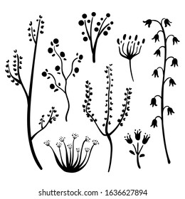 Set of doodle branches, twigs and flowers. Black line sketch, organic shapes silhouettes. Hand drawn design elements. Vector illustration
