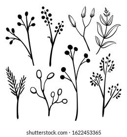 Set of doodle branches, twigs, leaves and flowers in sketchy style isolated on white background. Hand drawn design elements. Vector illustration